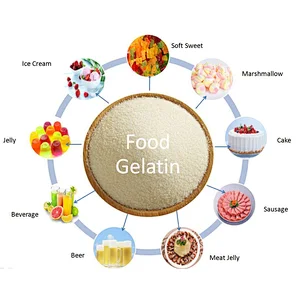 Halal hydrolyzed Bovine Gelatin Gelatin Powder